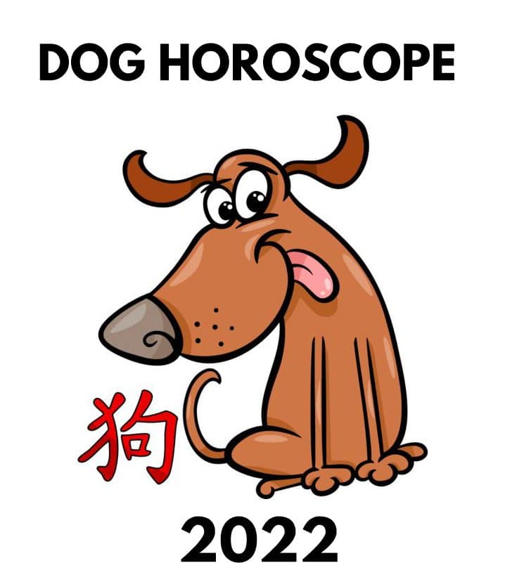 Year Of The Dog 2022 Horoscope Luck Predictions Year Of The Dog 2022 Horoscope Luck Predictions