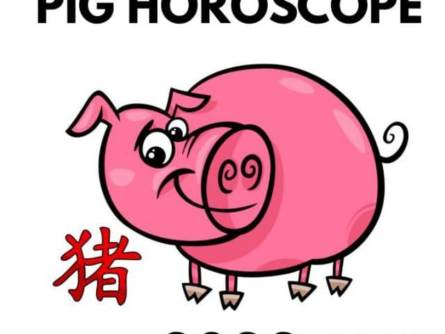 Year of the Pig – 2022 Horoscope & Luck Predictions