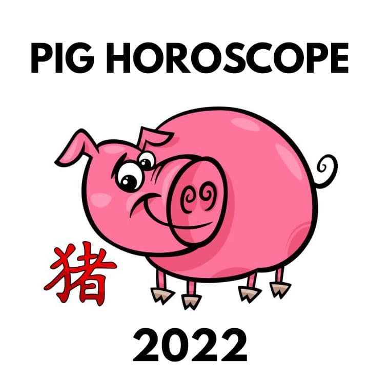 Year of the Pig – 2022 Horoscope &amp; Luck Predictions